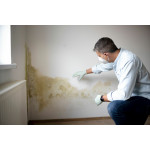 Parafuge Inject G - Crema inyectable sin disolventes a base de silano y agua - DL Chemicals Parafuge Inject G - Crema inyectable sin disolventes a base de silano y agua - DL Chemicals