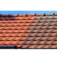 Green Cleaner - Natürliches saures Reinigungsmittel mit pflanzlichen Zusätzen - DL Chemicals