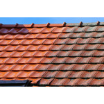 Green Cleaner - Natürliches saures Reinigungsmittel mit pflanzlichen Zusätzen - DL Chemicals Green Cleaner - Natürliches saures Reinigungsmittel mit pflanzlichen Zusätzen - DL Chemicals