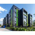 لوحة بارابوند - لاصق هجين أحادي المكون - شركة دي إل للمواد الكيميائية