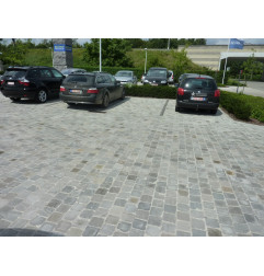 Kandla grey sandstone pavers