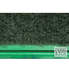 ممر CEAN وCDAN doormat، وجه النايلون مزدوجة من روسكو