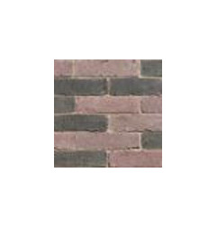 بريك سيبتيما سابلي الذين تتراوح أعمارهم بين الساحة