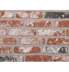 Rustic brick slip - Vieux Oud
