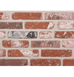 Rustic brick slip - Vieux Lyon