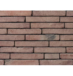 Thrombozyten Linea 3011 braunrot hv