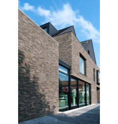 Thrombozyten Linea 8012 violett