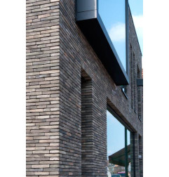 Thrombozyten Linea 8012 violett