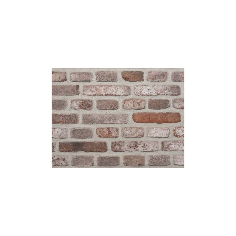 Brick rustic old Mons Brick rustic old Mons