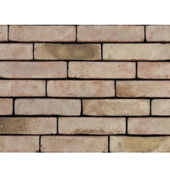 Brick Nature Type V