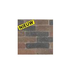 Кирпич SeptimA не песочное пожилые осень