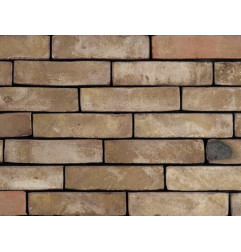 Brique Nature Type B