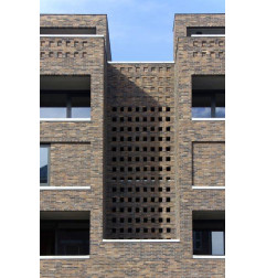 Brique Nature Type L