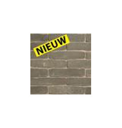 Кирпич Старая Бельгия не песчаная серая жемчужина