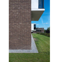 Brique Septem 8025 Terre brune non sablé