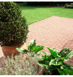 Brick aged QuintA sand Colosseum