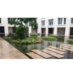 Renforcement de couleur Super - Akemi