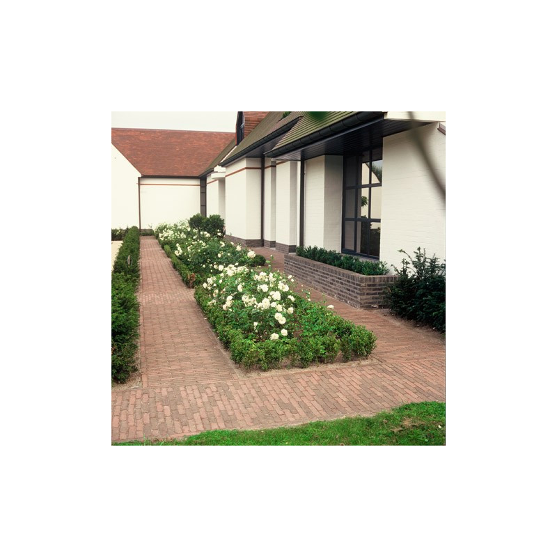 Brique QuintA Brique QuintA