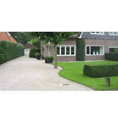 Gravel Fix® Pro - Dalle gravier - ACO