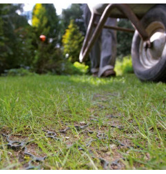 Turf tile for driveable lawn - Area - ACO