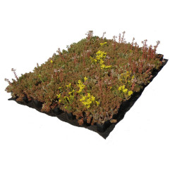 植被支持 - 尼达特拉 - 尼达普斯特拉