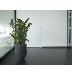 暮光玄武岩板 - 软化 - 石头和土壤