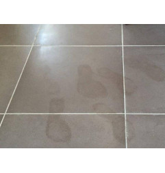 Intens Clean - Intensieve reiniger - Berdy