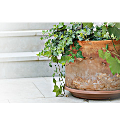 Green Free - Disposal of green waste - Berdy