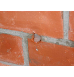 Freezteq - Cartucce contro la risalita dell'acqua di falda - PTB Compaktuna