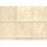 Mosaïque en Pierre de Bourgogne Beige