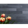 Ardesia Nera crude shale wall slat