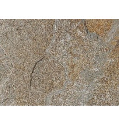 Lamla Murale Schiste oyester Brut