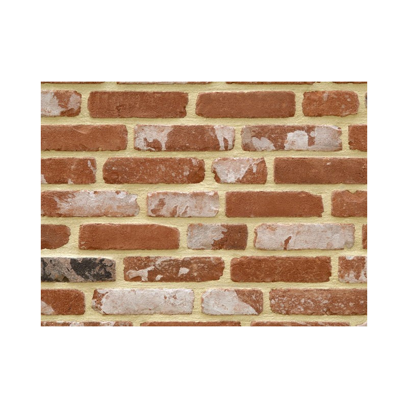 Rustic brick slip - Vieux Oud