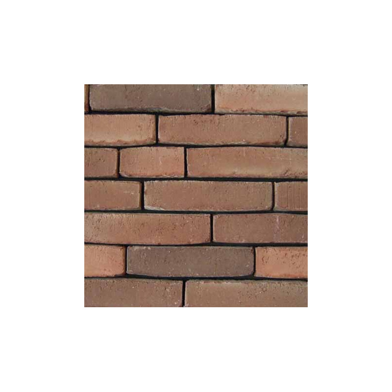 Folleto naturaleza rojo marrón