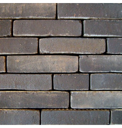 Folleto naturaleza negro-marrón