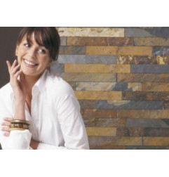 Lamelle Murale Schiste Rich Automn Brut