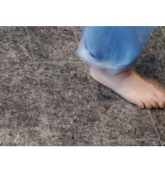 拉梅莱·穆拉莱·皮埃尔·布勒·贝尔格·弗拉梅