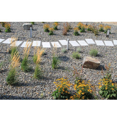 Monja-lajes ao ar livre-Bauma Stone