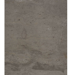 Said of Longpré Meuse limestone