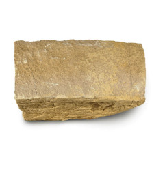 Sandstone limestone of Fontenoille