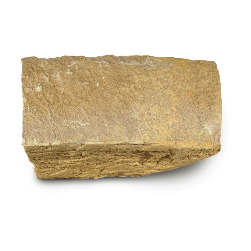 Sandstone limestone of Fontenoille