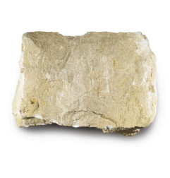 Calcaire gréseux de Gobertange