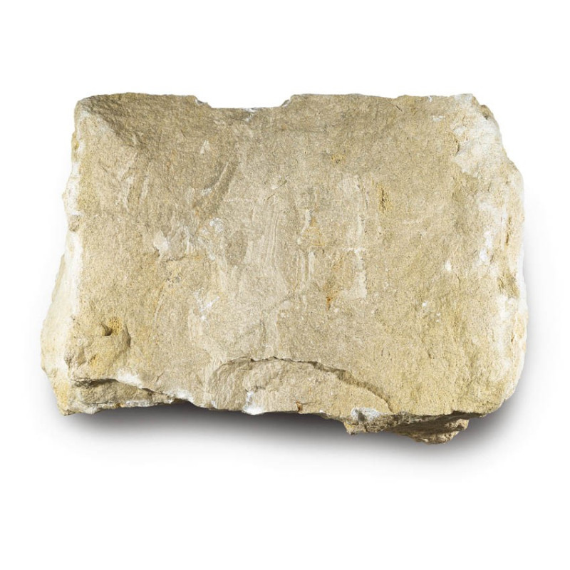 Gobertange Sandy limestone Gobertange Sandy limestone