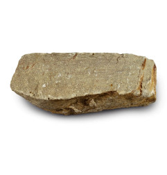 Silicieuse stone: Arcose