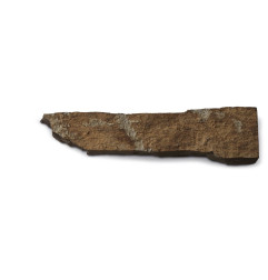 皮埃尔·西柳斯：施舍