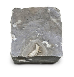 Silicieuse stone: Flint