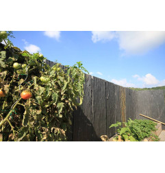 Stella - Palissade - Bauma Stone