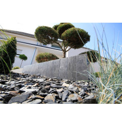 Нора - Палиссаде - Баума Стоун