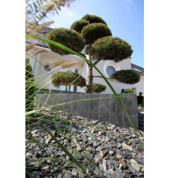 نورا - باليسيد - بوما ستون