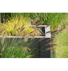 Джерси - Палиссаде - Баума Стоун